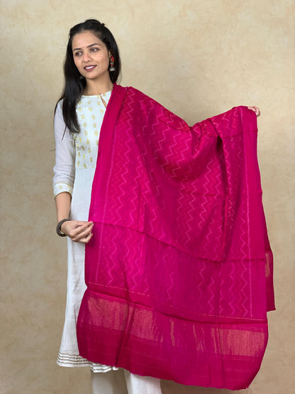 Varsha | patola shawl