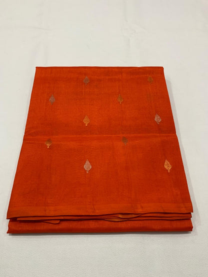 Shaivi | cotton venkatagiri saree