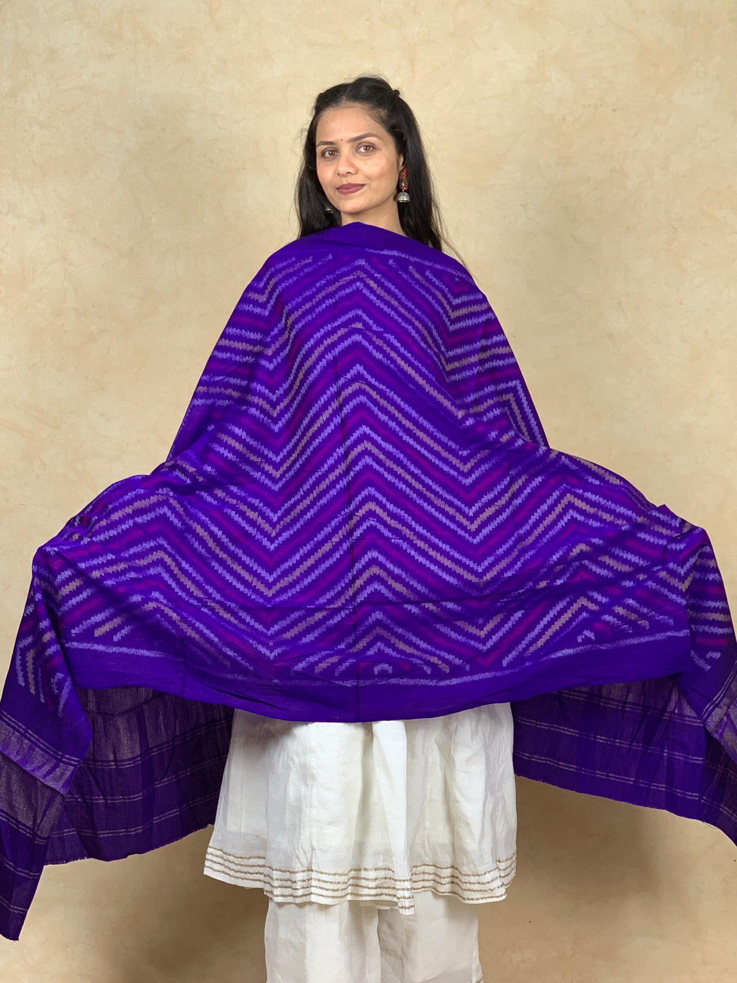 Dhvani | patola shawl