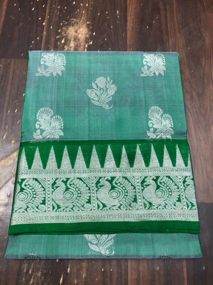 Vishali | venkatagiri pattu sarees