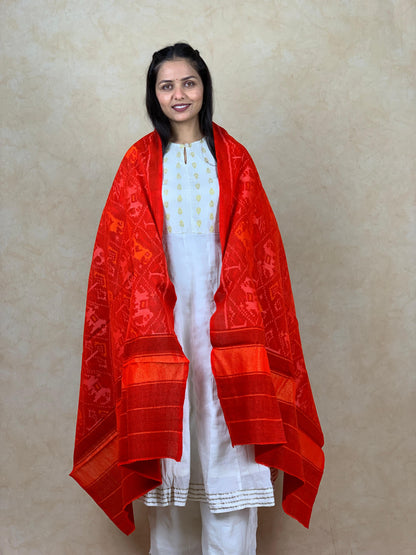 Kishori | patola shawl