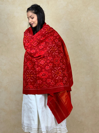 Leema | patola shawl