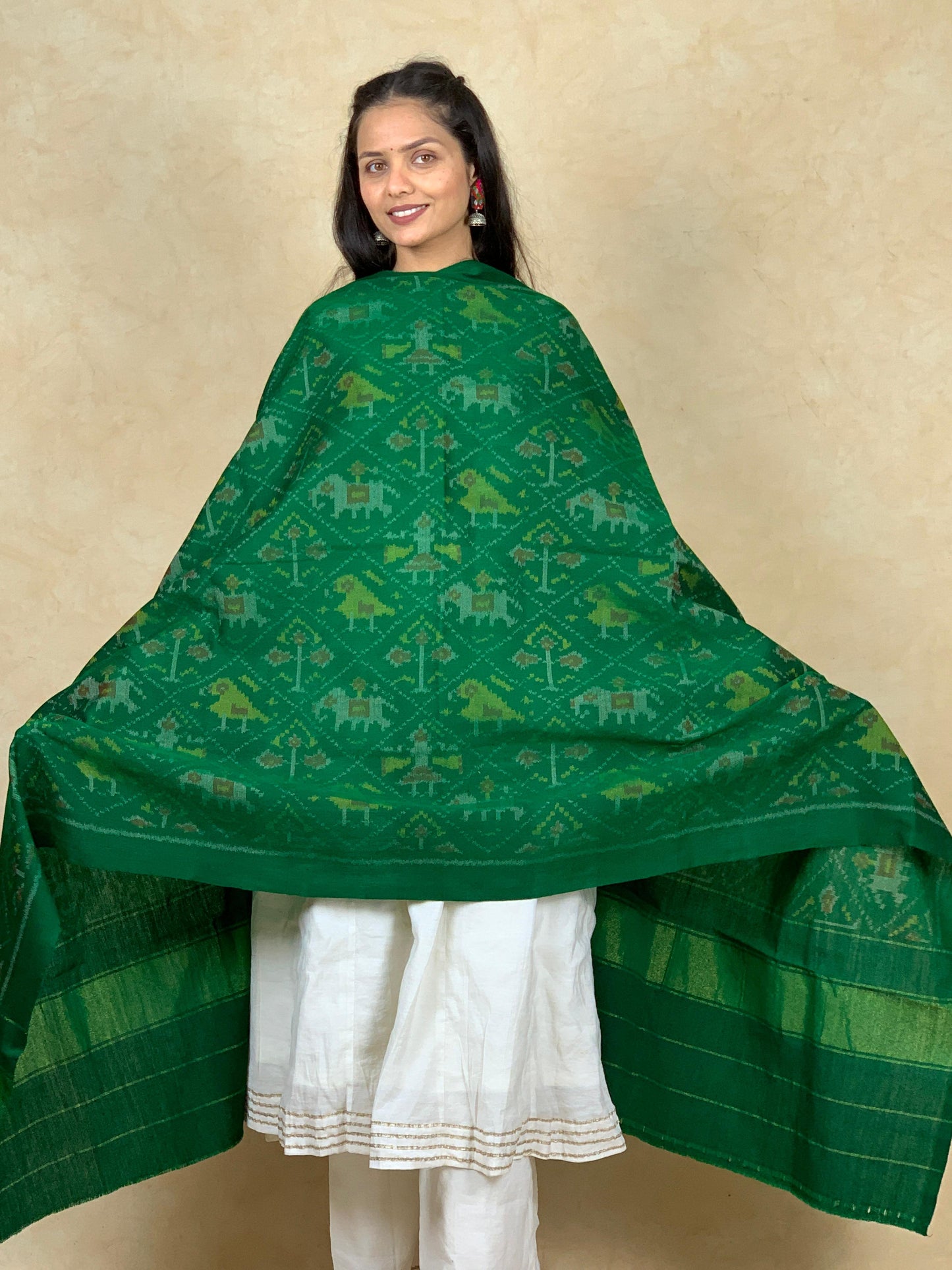 Dikshant | patola shawl