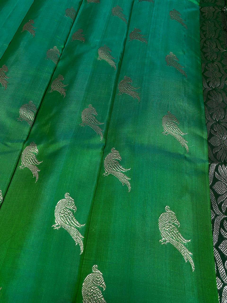 Vismay | venkatagiri pattu sarees