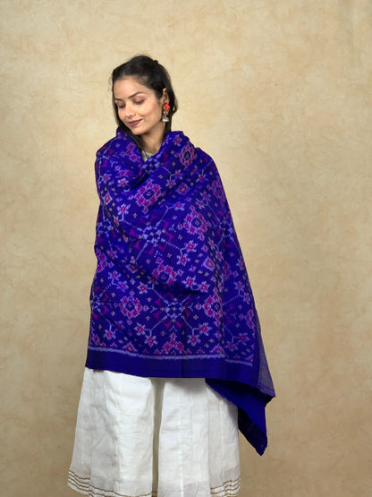 Chitra | patola shawl