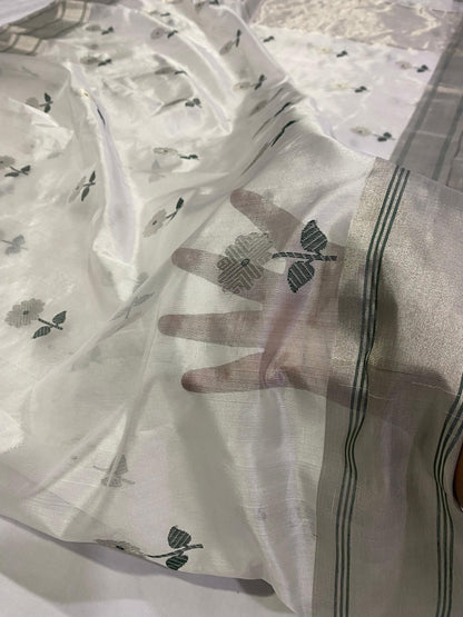 Chandini  | Katan Silk Chanderi Saree