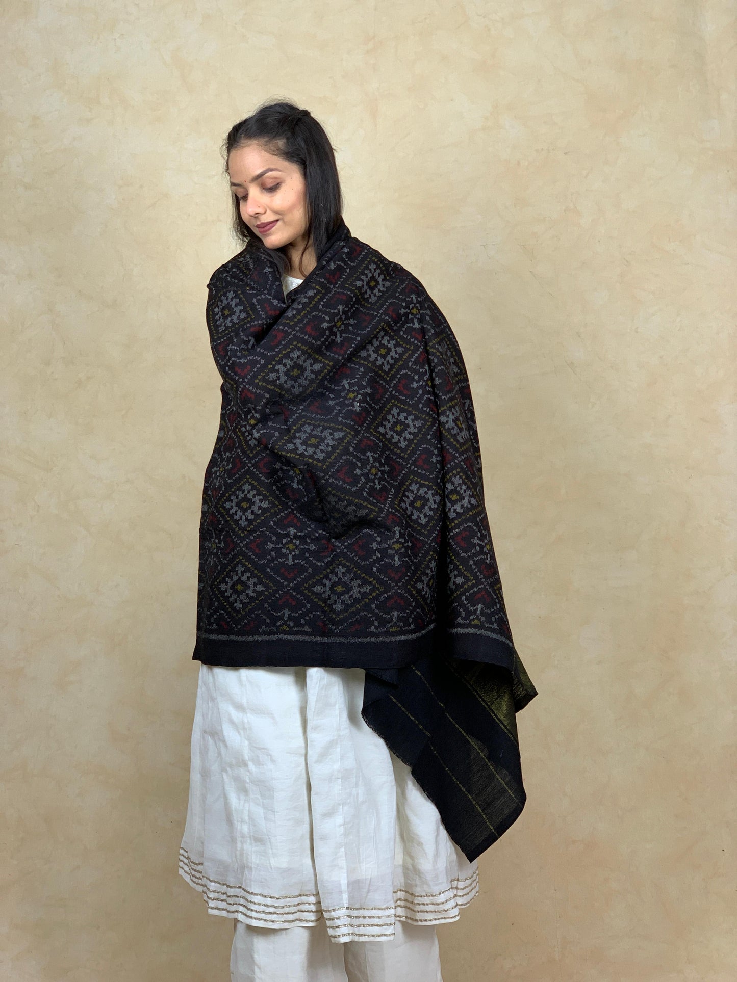 Vani | patola shawl