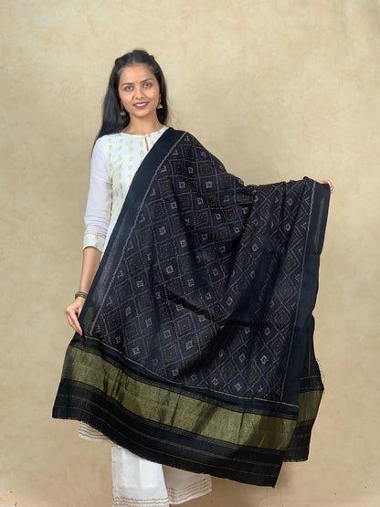 Kamala | patola shawl