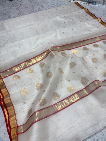 Charm | Chanderi saree