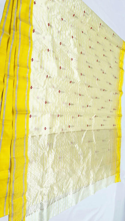Chanchal | Chanderi saree