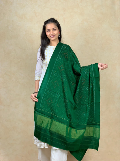 Kavya | patola shawl