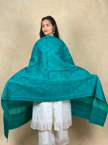 Jheel | patola shawl