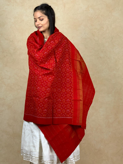 Diti | patola shawl