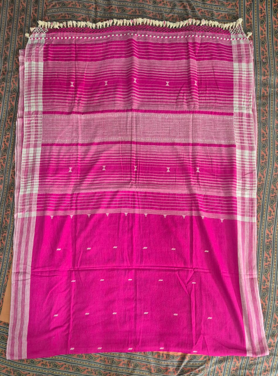 Bhiga | Kala Cotton Bhujodi Saree