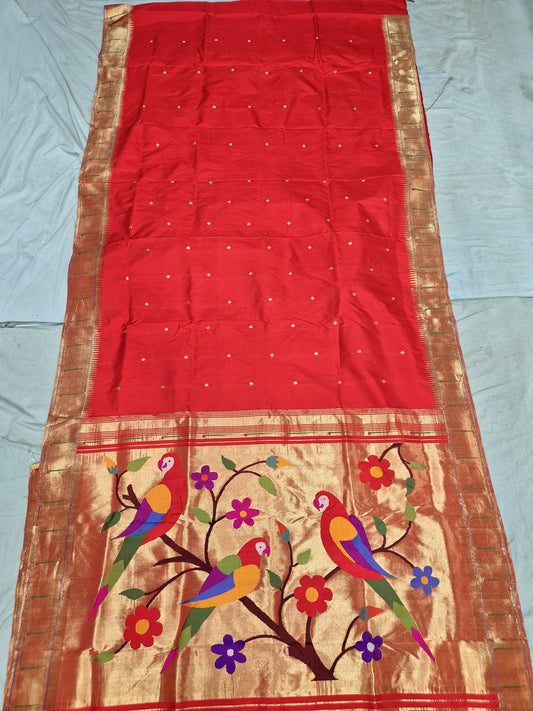Panshika | Ek Muniya Paithani