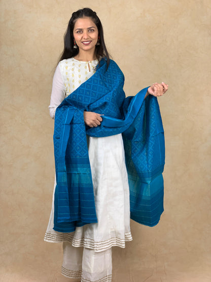 Hiral | patola shawl