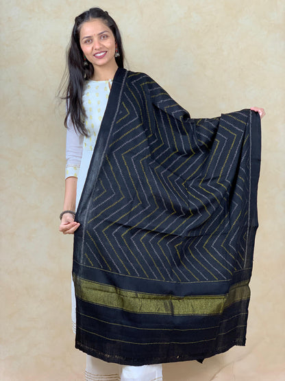 Medha | patola shawl