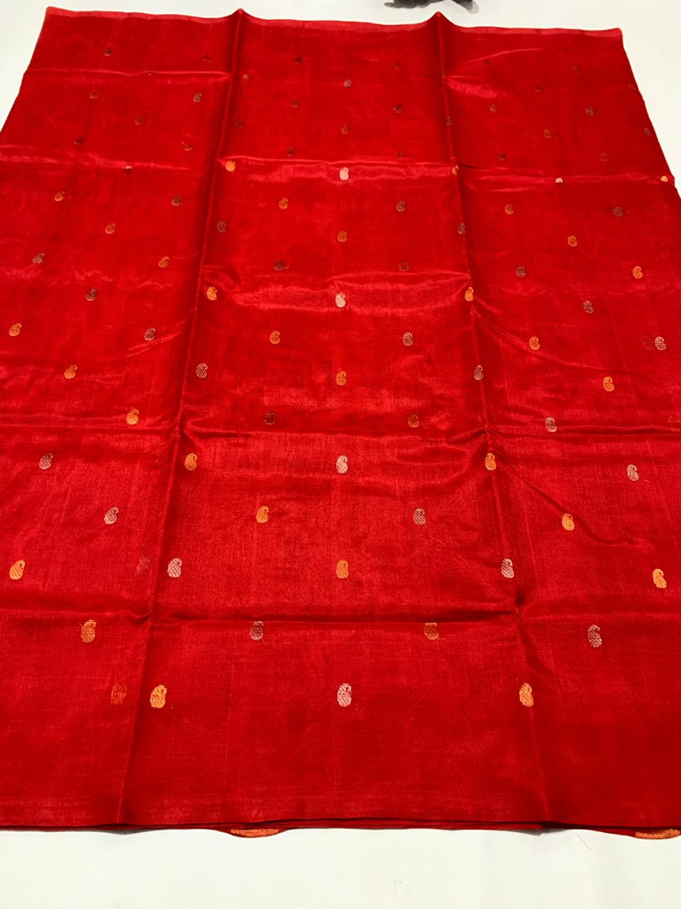 Vini | Venkatagiri cotton by pattu saree