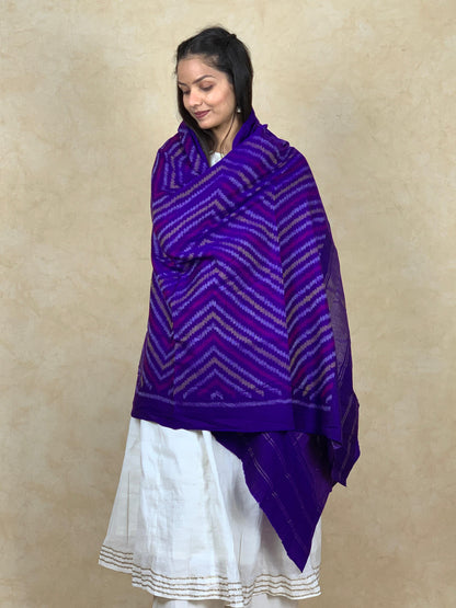 Dhvani | patola shawl