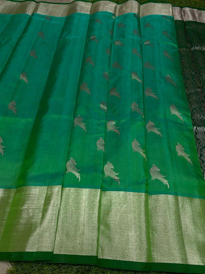Vismay | venkatagiri pattu sarees