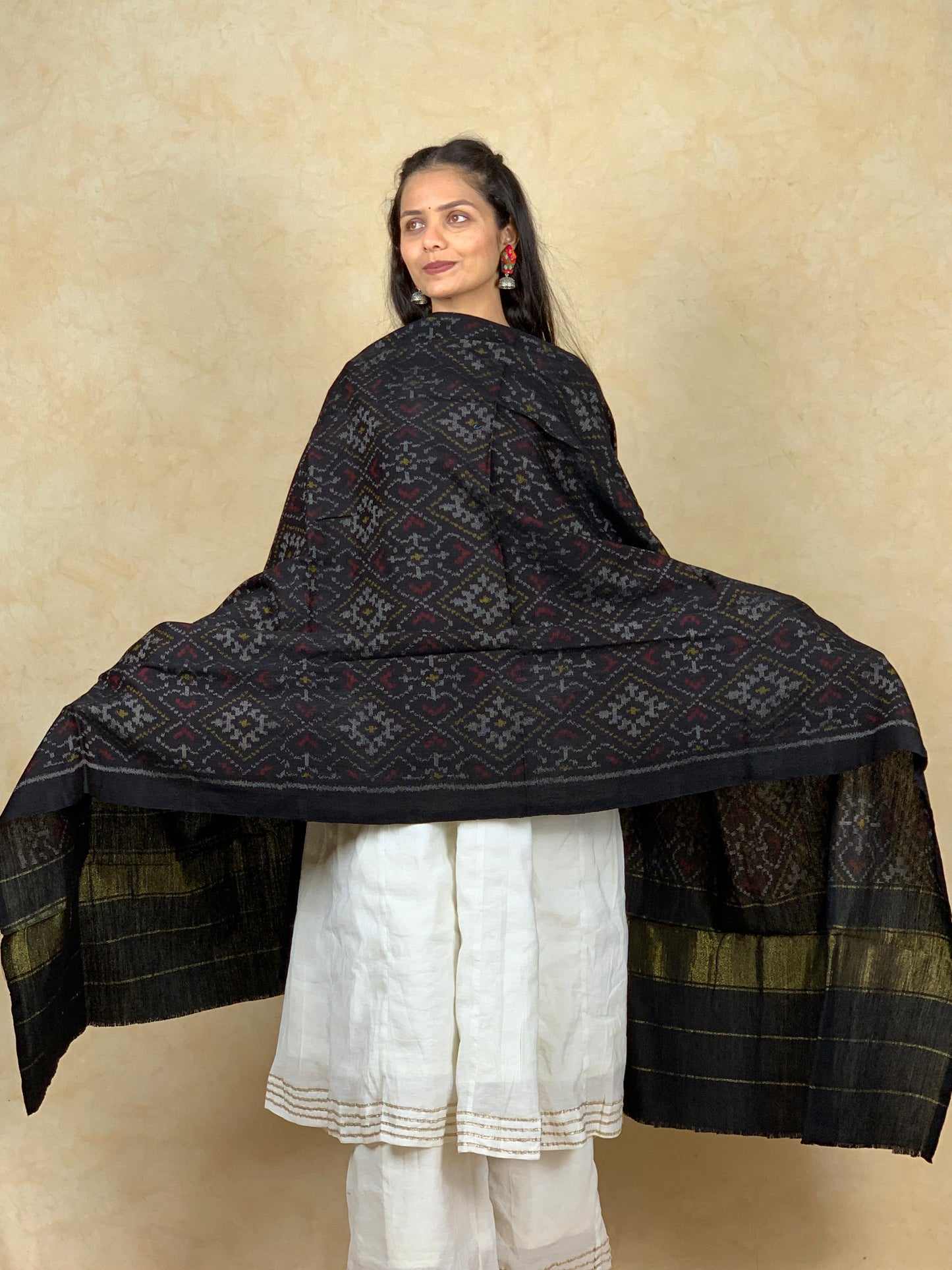 Vani | patola shawl