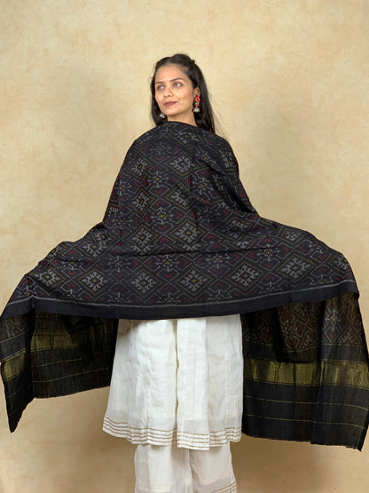 Vani | patola shawl