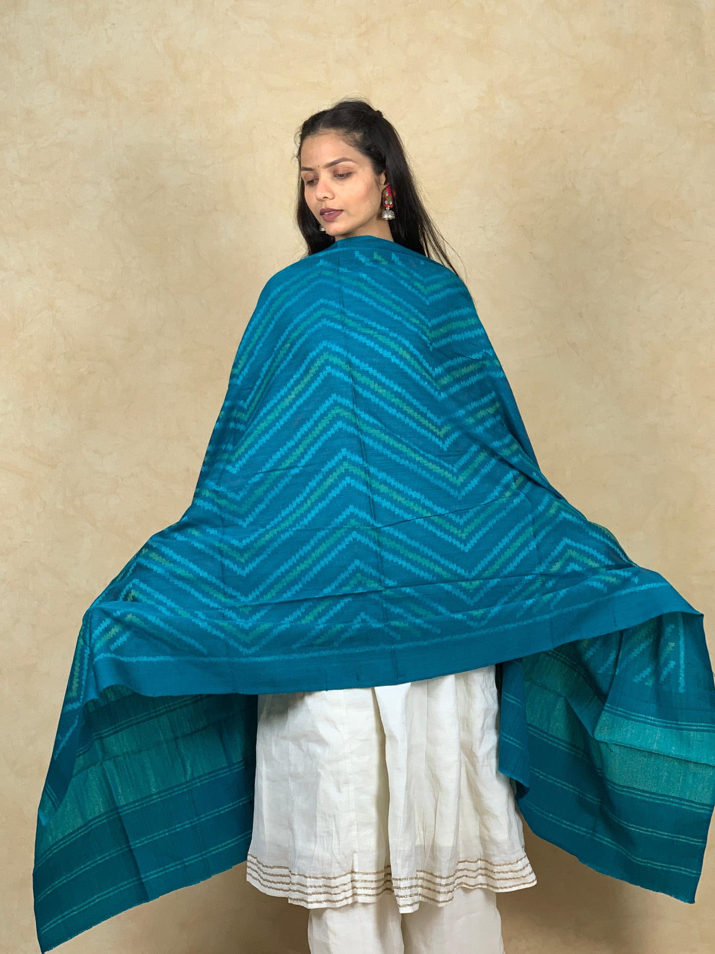 Vibha | patola shawl
