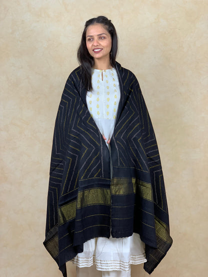 Medha | patola shawl