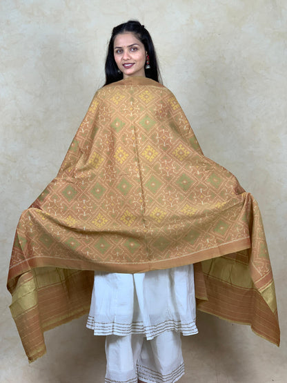Leenata | patola shawl