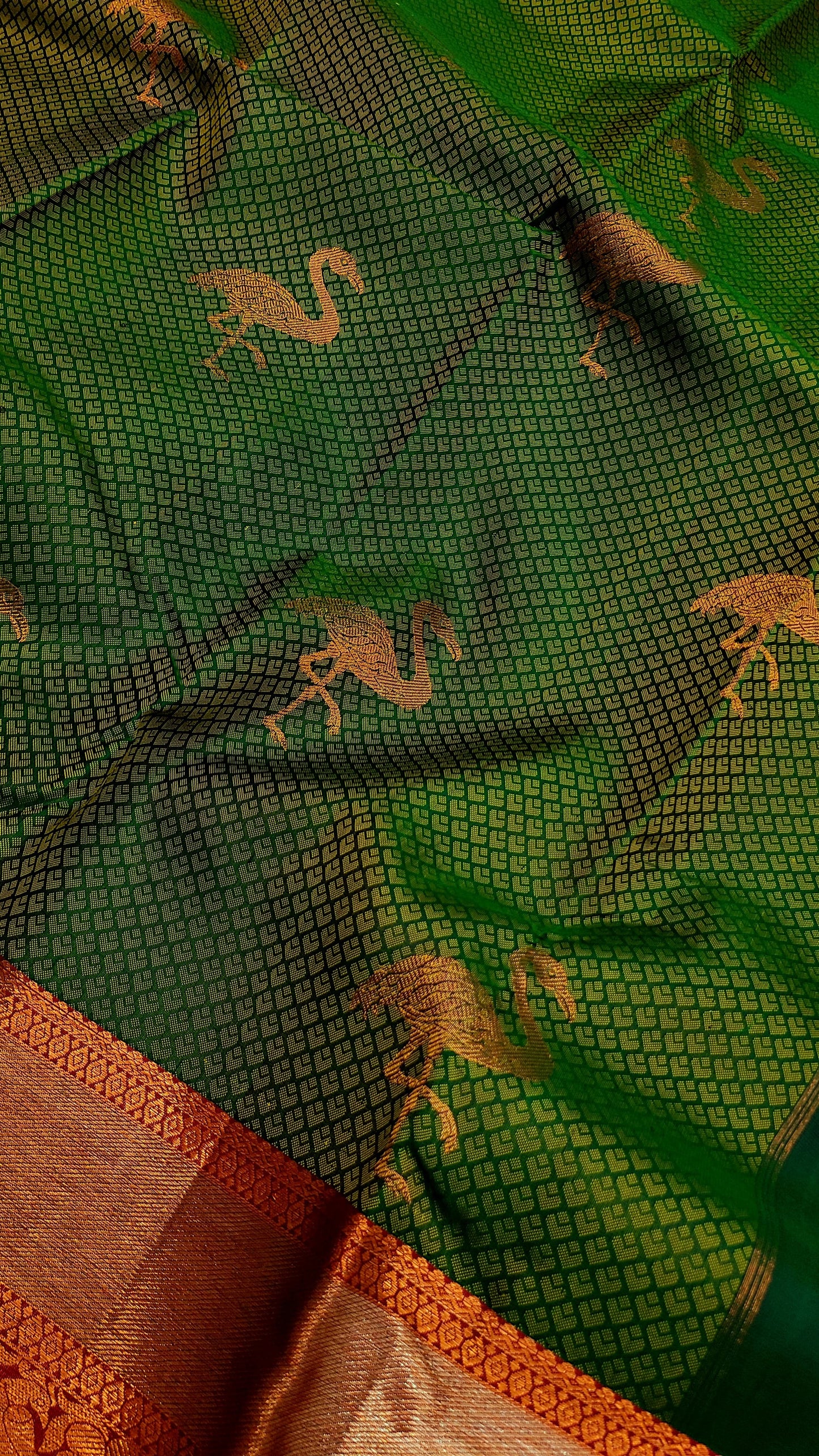 Ashok | pure silk kanjeevaram saree