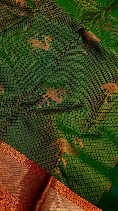 Ashok | pure silk kanjeevaram saree