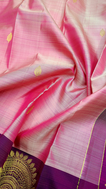 Ashish | pure silk kanjeevaram saree