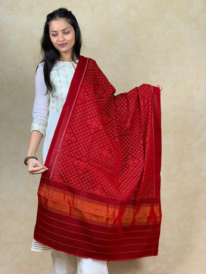 Manisha | patola shawl