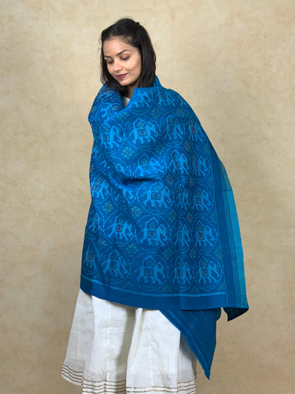 Vimla | patola shawl