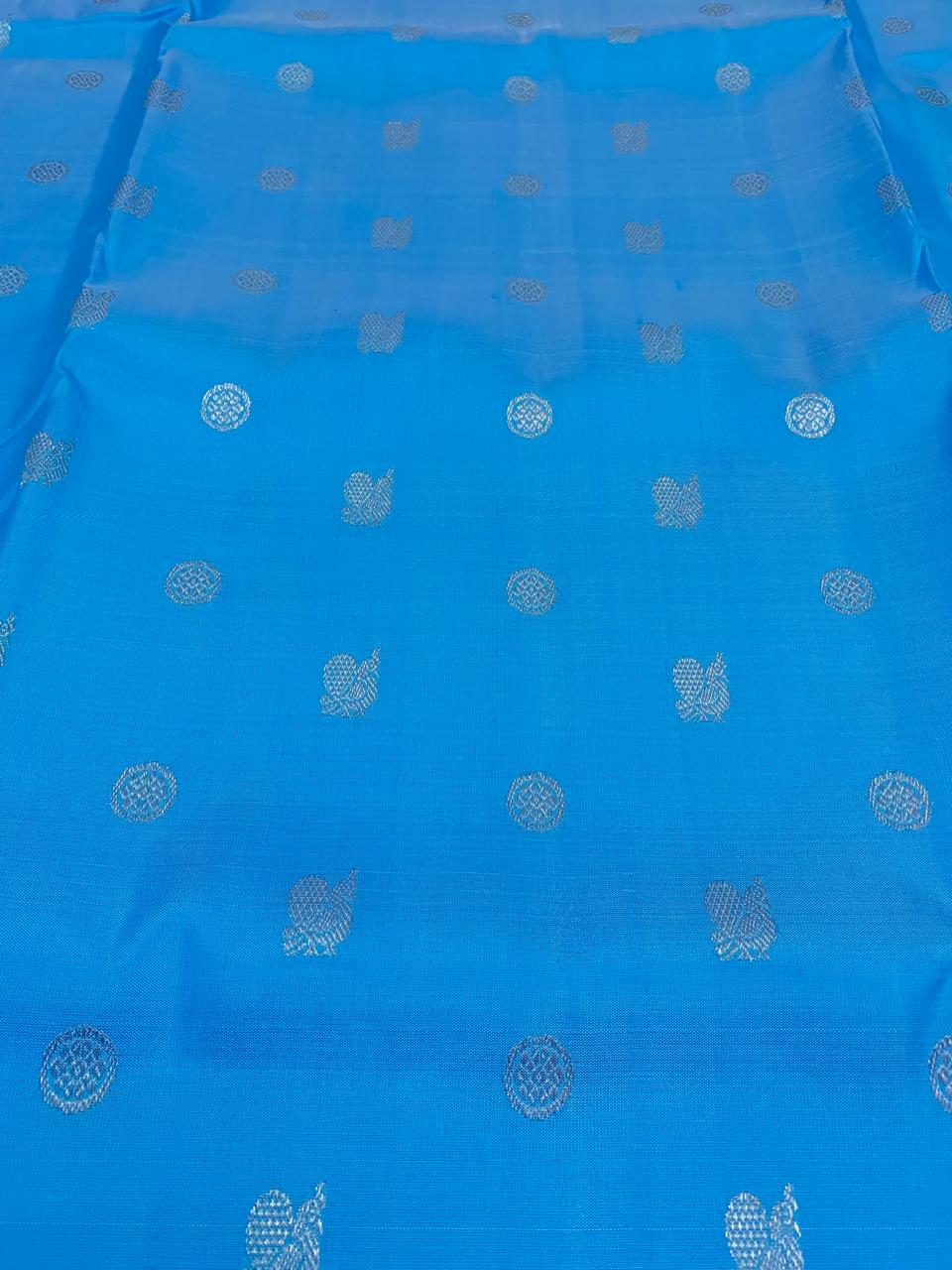 Vrishank | Venkatagiri pattu saree