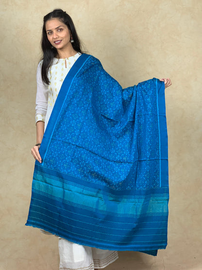 Lekha | patola shawl