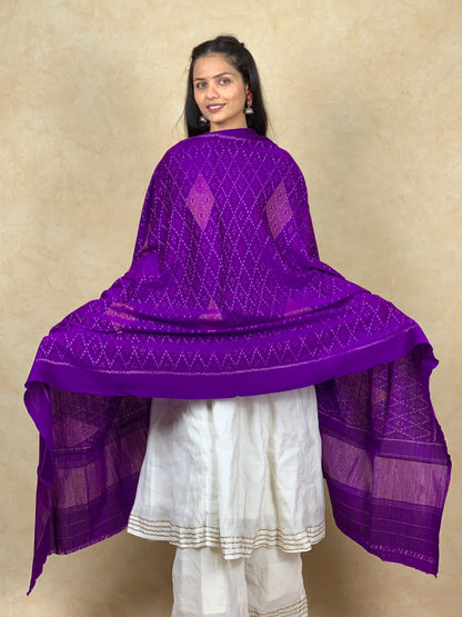 Amisha | patola shawl