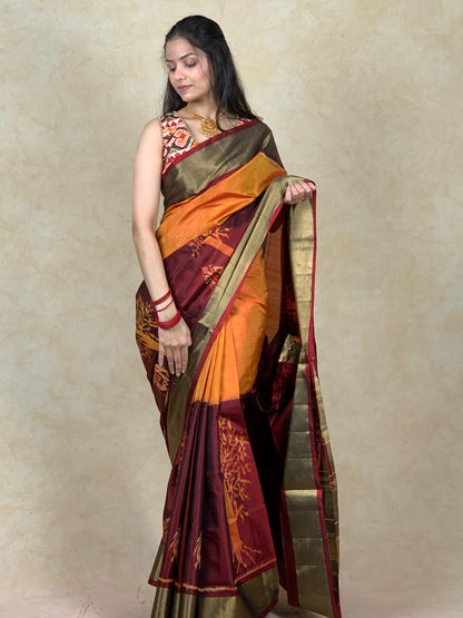 Ishia | Single Ikat Patola saree