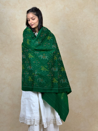 Dikshant | patola shawl