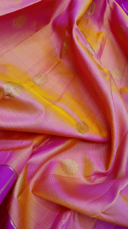 Asha | pure silk kanjeevaram saree