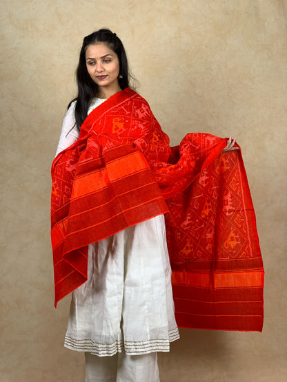 Kishori | patola shawl
