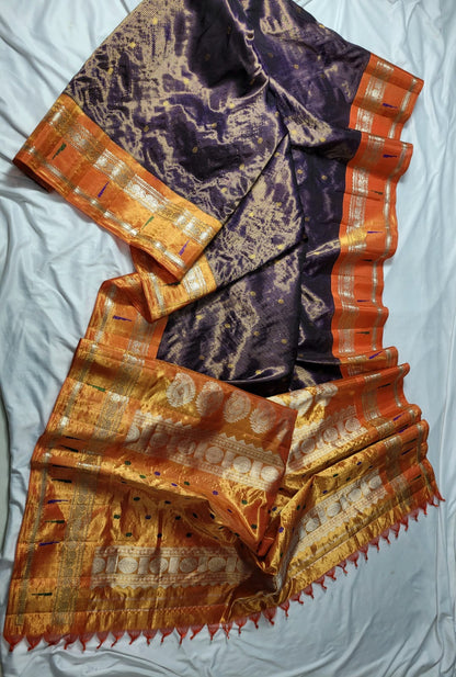 Gir | Gadwal Saree