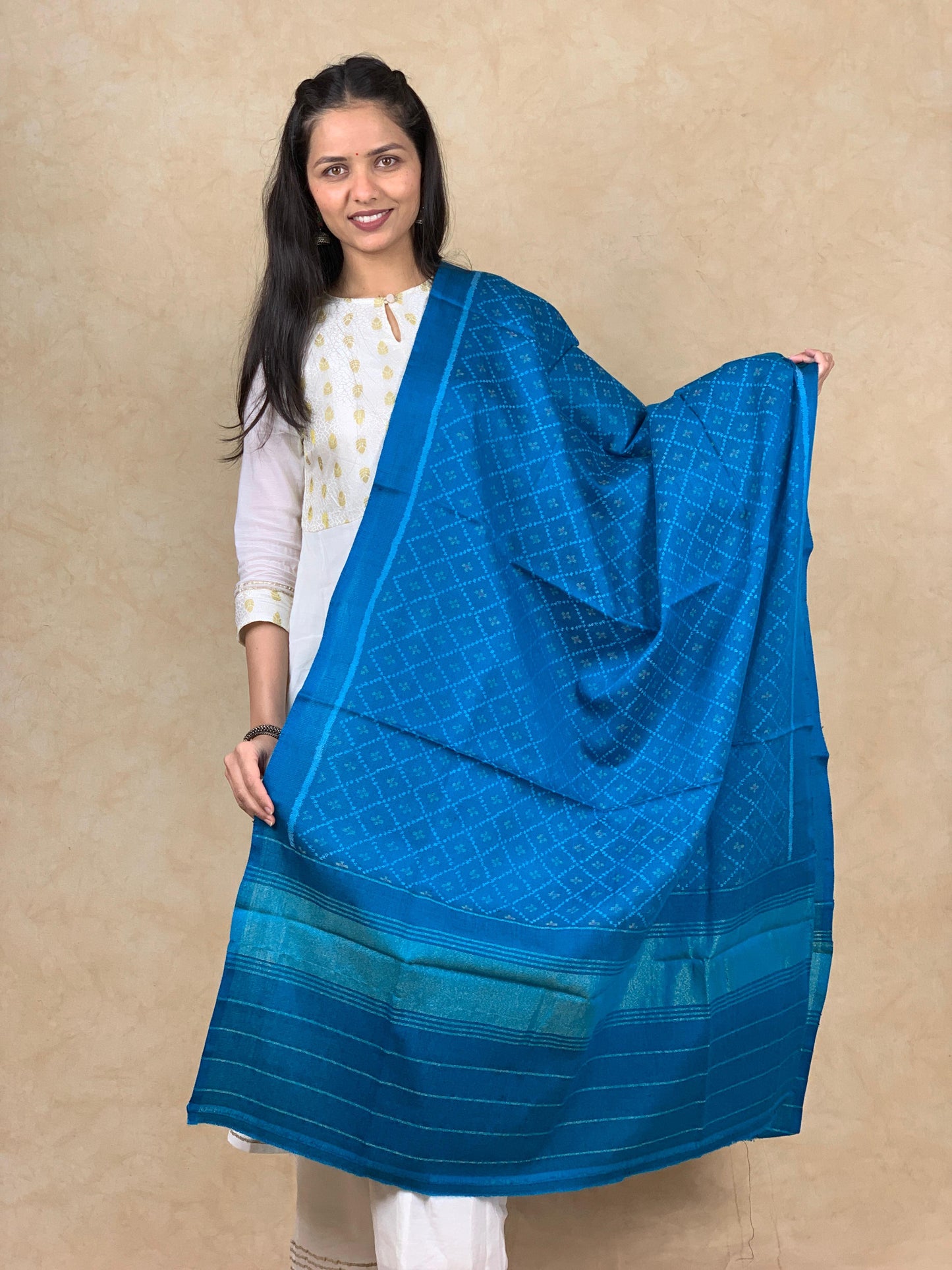 Hiral | patola shawl