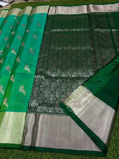 Vismay | venkatagiri pattu sarees