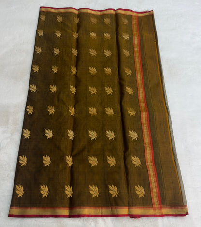 Charmis | Chanderi saree