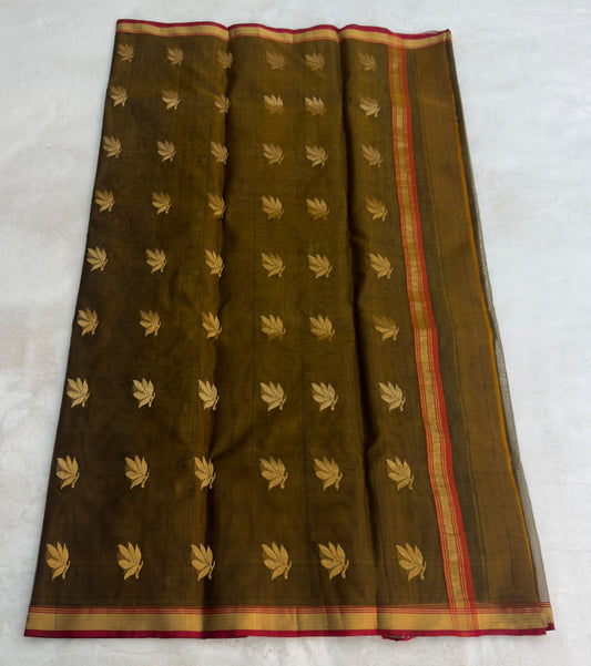 Charmis | Chanderi saree