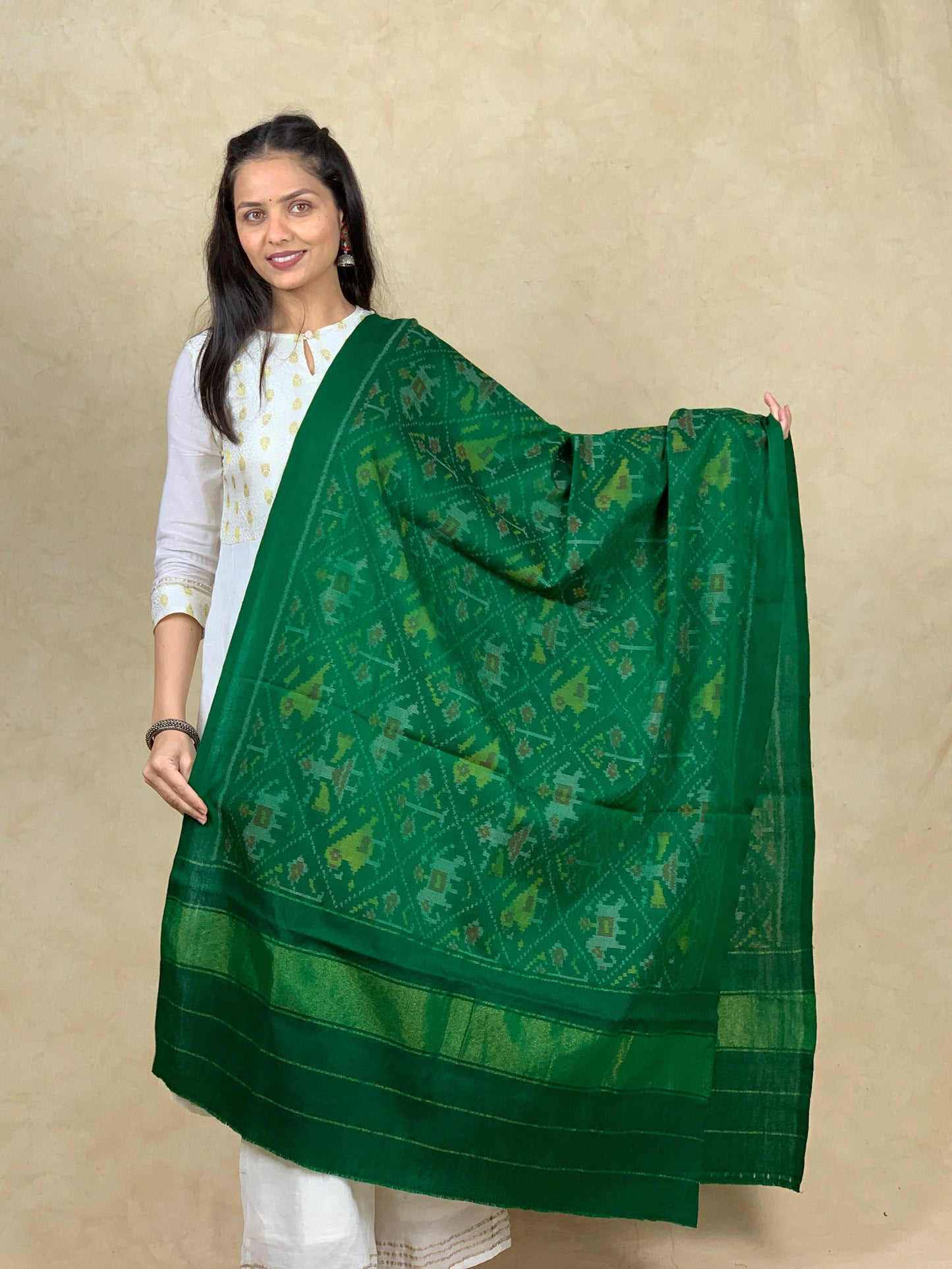 Dikshant | patola shawl