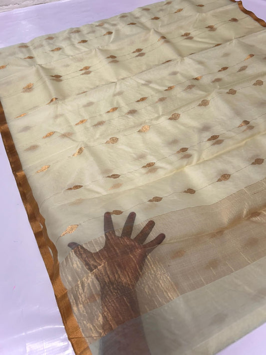 Chandralochana  | Katan Silk Chanderi Saree