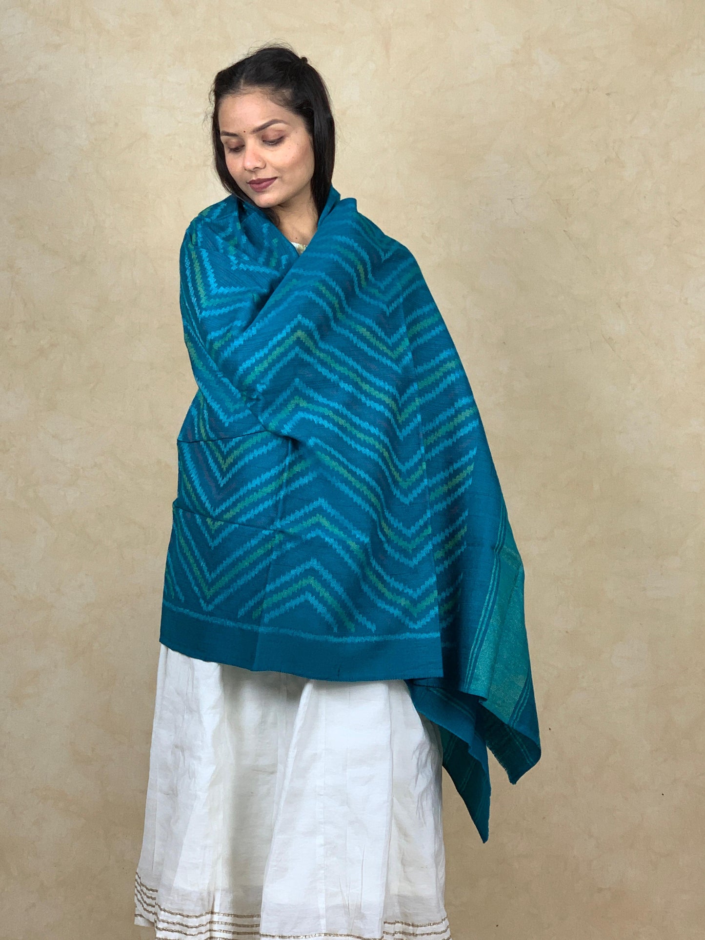 Vibha | patola shawl
