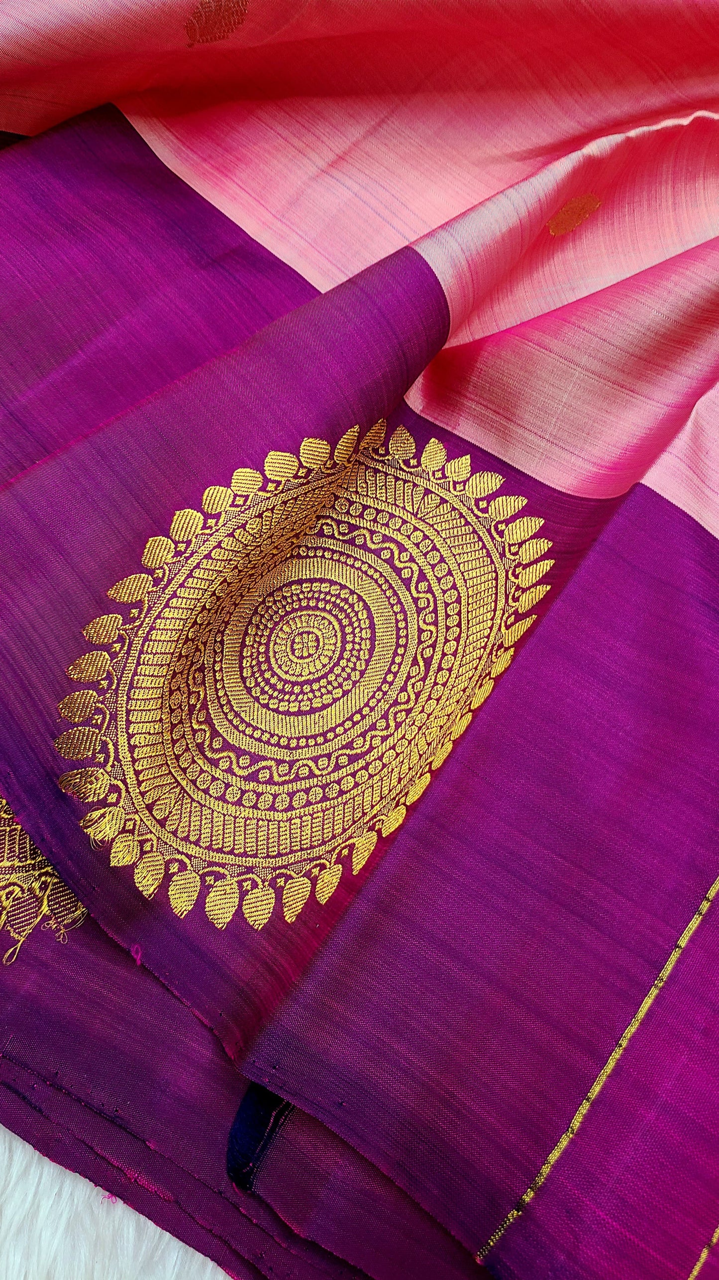 Ashish | pure silk kanjeevaram saree